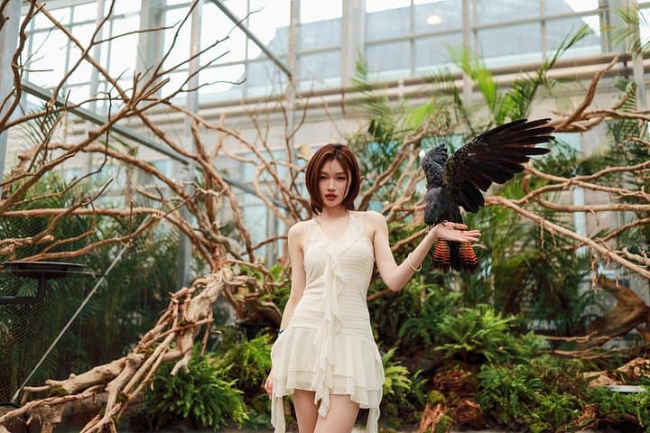 Gyeonggi Begonia Bird Park: Gapyeong’s Garden & Bird Encounter photo 4