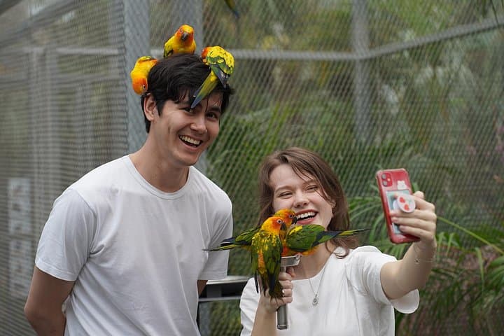 Gyeonggi Begonia Bird Park: Gapyeong’s Garden & Bird Encounter photo 5