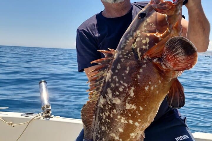 Private Manilva Fishing Charter — 2-Hour Coastal Fishing & Wildlife Cruise