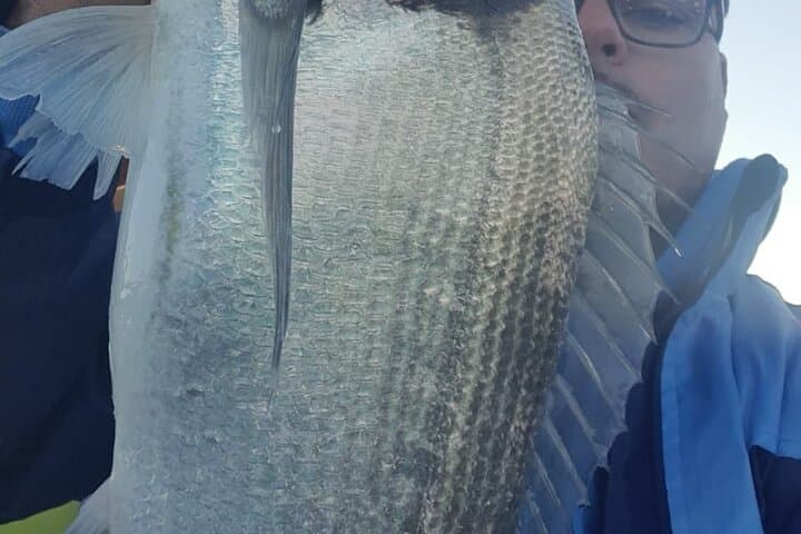 Private Manilva Fishing Charter — 2-Hour Coastal Fishing & Wildlife Cruise photo 4