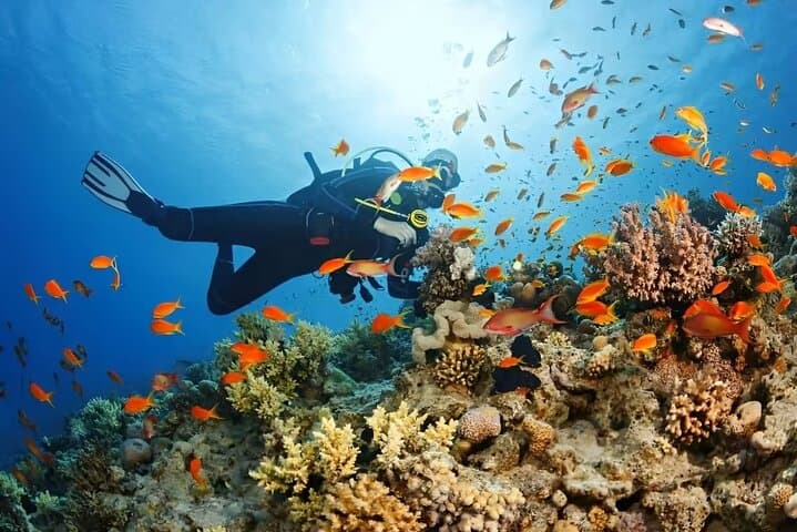 Phu Quoc Island Hopping: Snorkeling, Coral Park & Hon Thom Cable Car photo 3