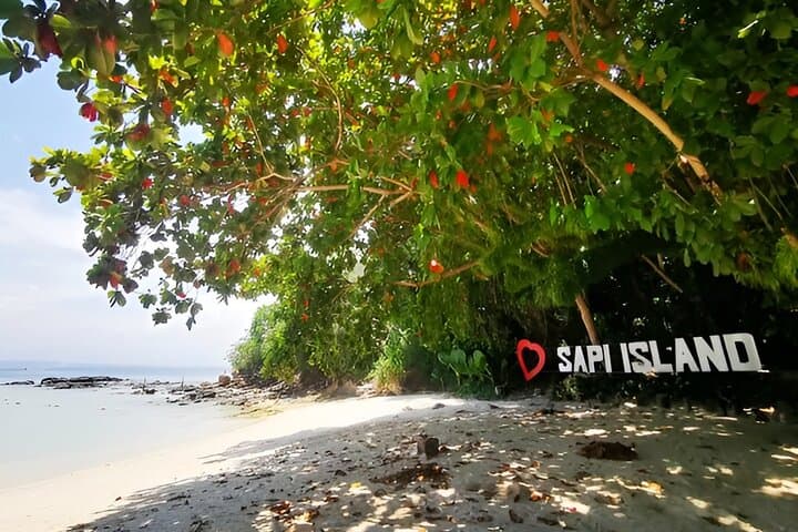 Manukan and Sapi Islands Excursion — Snorkel and Swim from Kota Kinabalu photo 2