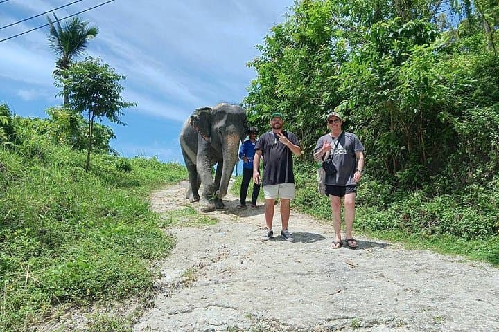 Patong Elephant Sanctuary Guided Visit — Hands‑Off, Ethical Elephant Experience Near Patong Beach