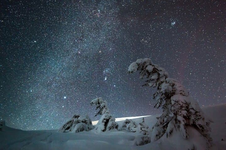 Night Skiing & Wilderness Dinner in Riisitunturi National Park — Arctic Culinary Adventure