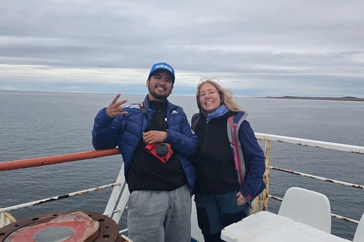 King Penguins & Strait of Magellan Day Trip from Punta Arenas photo 4