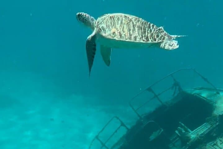 Sail and Snorkel the Virgin Islands: Private Mid-Day to Sunset Charter photo 5