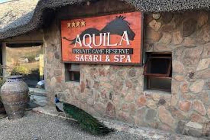 Aquila Big Five Safari from Cape Town: Sunset Safari with Lunch & Transport photo 4
