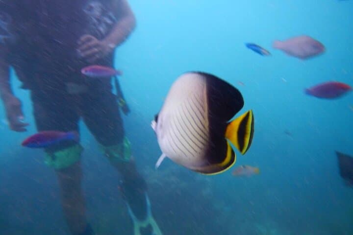 Semporna Sea Walking: Dry-Head Dive with Underwater Photography photo 4