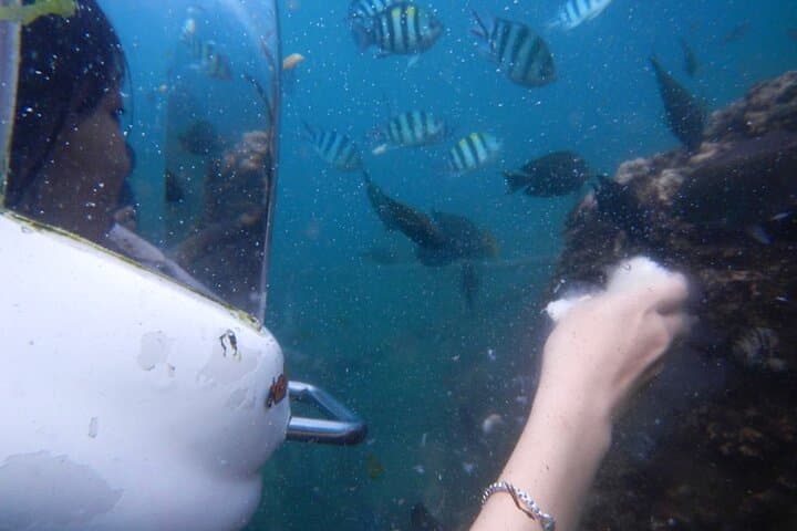 Semporna Sea Walking: Dry-Head Dive with Underwater Photography photo 6