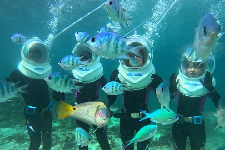 Underwater SeaWalker on Ishigaki Island — Walk the Coral Reefs in a Helmet photo 2