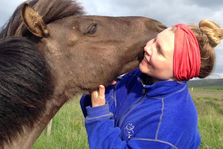 Private 3-Day Farm Stay and West Iceland Highlights: Golden Circle, Silver Circle & Snæfellsnes