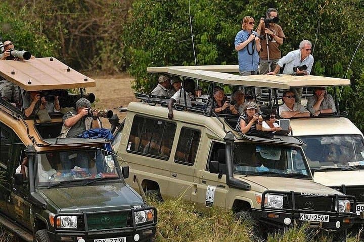 4-Day Maasai Mara and Lake Nakuru Budget Safari from Nairobi photo 2