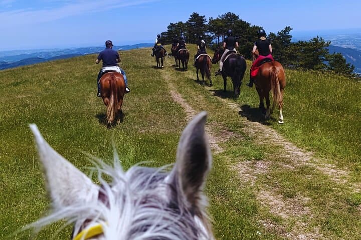 Horseback Ride Through Furlo Gorge: 2-Hour Equestrian Tour from Urbino photo 4