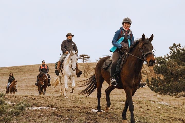Ride Between Urbino and Furlo: 90-Minute Horseback Tour in Marche photo 1