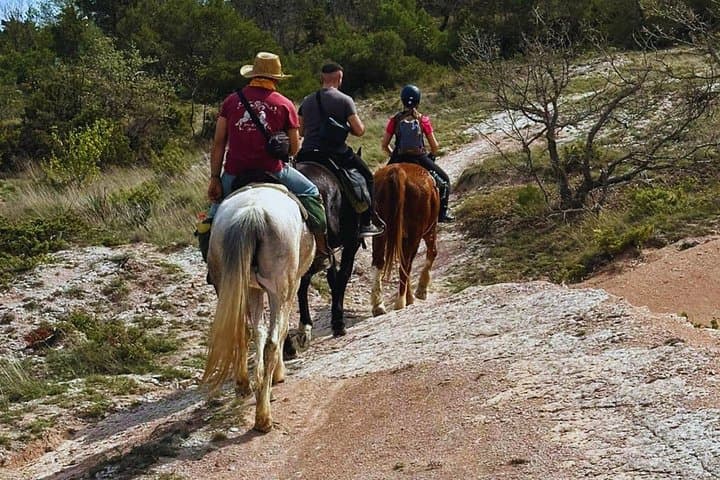 Ride Between Urbino and Furlo: 90-Minute Horseback Tour in Marche photo 4