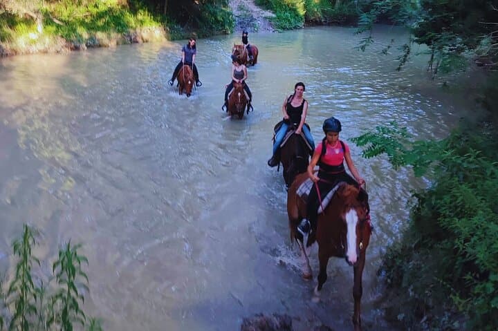 Horseback Ride Through Furlo Gorge: 2-Hour Equestrian Tour from Urbino photo 6