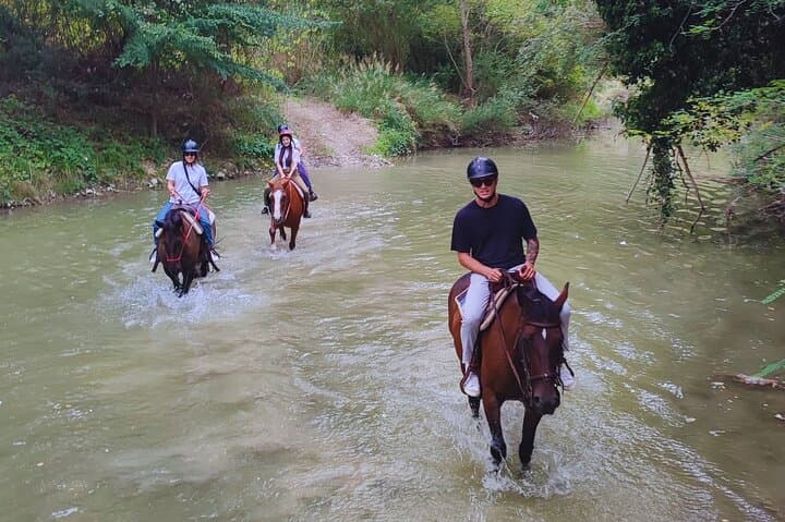 Horseback Ride Through Furlo Gorge: 2-Hour Equestrian Tour from Urbino photo 5