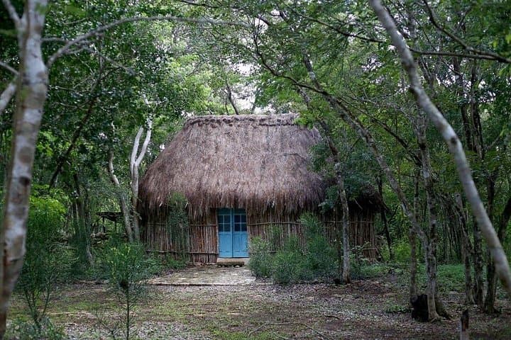 Ake Ruins and Homun Cenotes Day Tour from Merida: Explore Mayan Columns and Swim Cave Cenotes photo 4