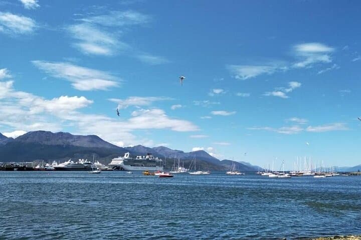 Ushuaia Shore Tour: Empanadas, Wine & Beagle Channel Viewpoints photo 4