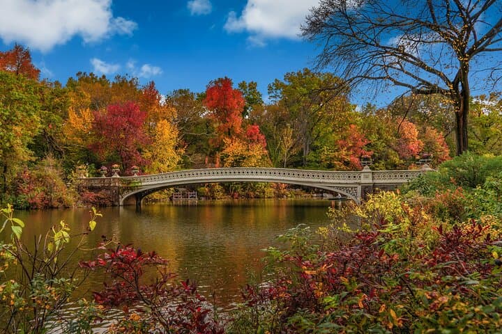 Central Park Self-Guided Audio Tour — Nature, History & Iconic Landmarks photo 3