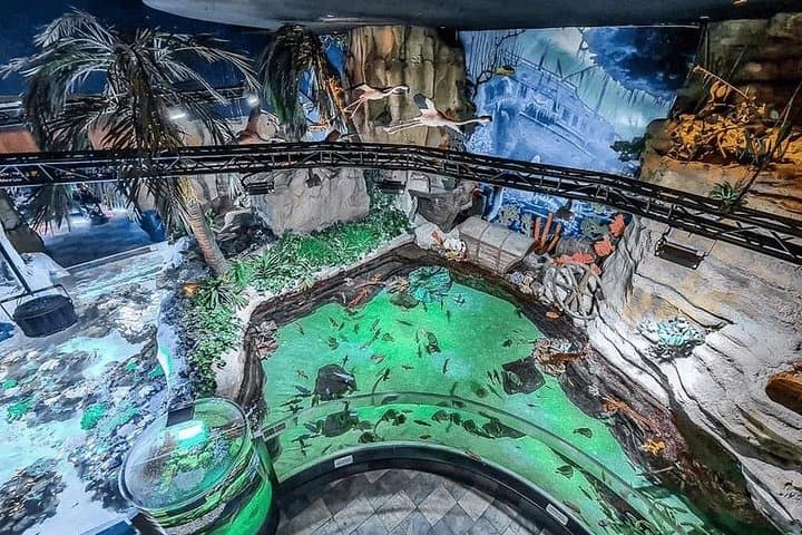 Dubai Aquarium & Underwater Zoo Admission — Dubai Mall Tunnel Experience photo 2