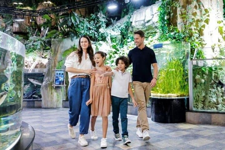 Dubai Aquarium & Underwater Zoo Admission — Dubai Mall Tunnel Experience photo 4