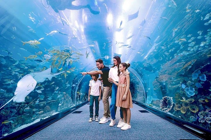 Dubai Aquarium & Underwater Zoo Admission — Dubai Mall Tunnel Experience photo 5