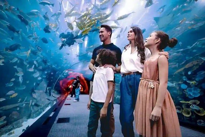 Dubai Aquarium & Underwater Zoo Admission — Dubai Mall Tunnel Experience photo 6