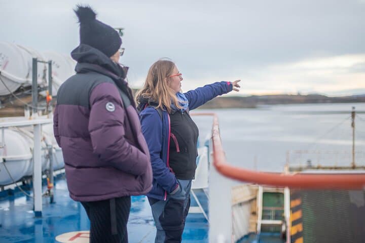 King Penguins & Strait of Magellan Day Trip from Punta Arenas photo 5