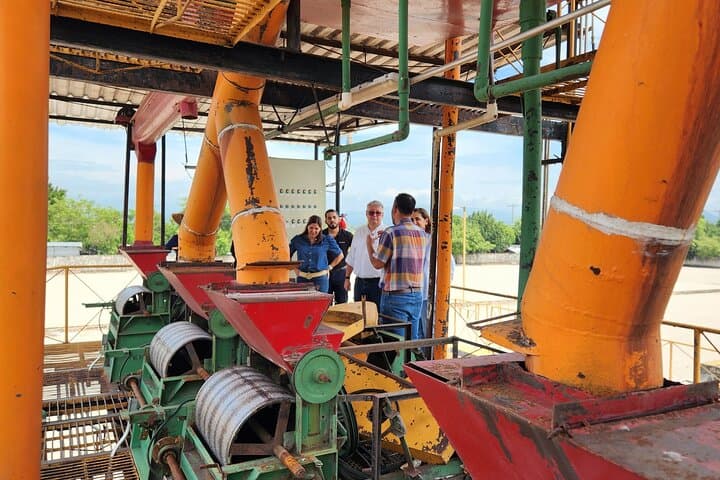 From Bean to Crater: Coffee Process Tour & Cupping at Boquerón Park