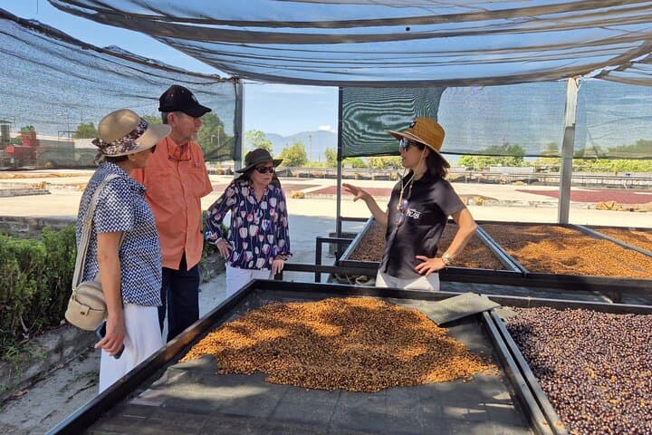 From Bean to Crater: Coffee Process Tour & Cupping at Boquerón Park photo 2