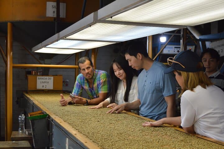 From Bean to Crater: Coffee Process Tour & Cupping at Boquerón Park photo 4