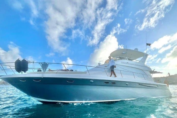 Private Yacht Whale Watching, Arch Tour & Snorkel — Cabo San Lucas photo 4