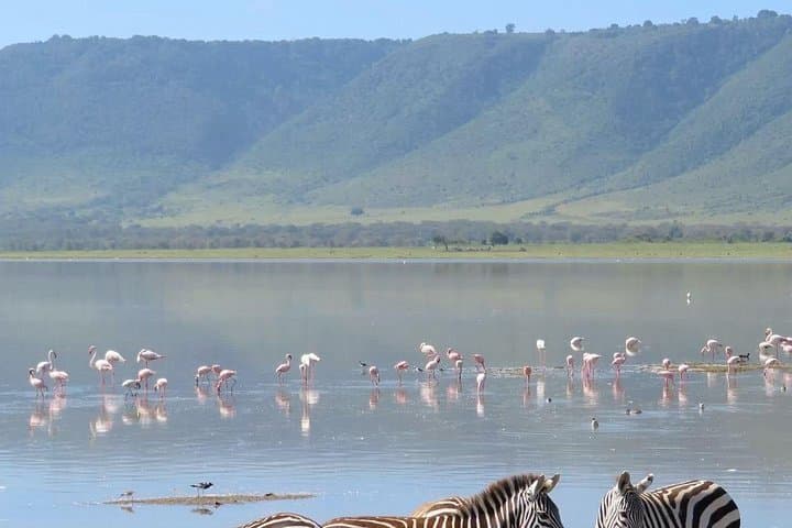 4-Day Chagga Village & Materuni Waterfall Stay at Boma Villa Near Kilimanjaro photo 4