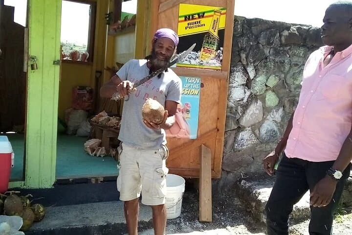 wow-tours-st-lucia-soufriere-pitons-sulphur-springs-full-day photo 5