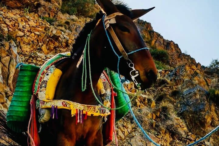 Two-Day Atlas Mountains Trek: Villages, Views & Aït Assa Homestay photo 1