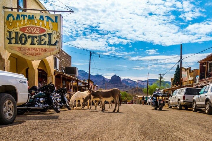 Historic Route 66 Bus Tour to Oatman — Wild Burros & Old West Stories photo 1