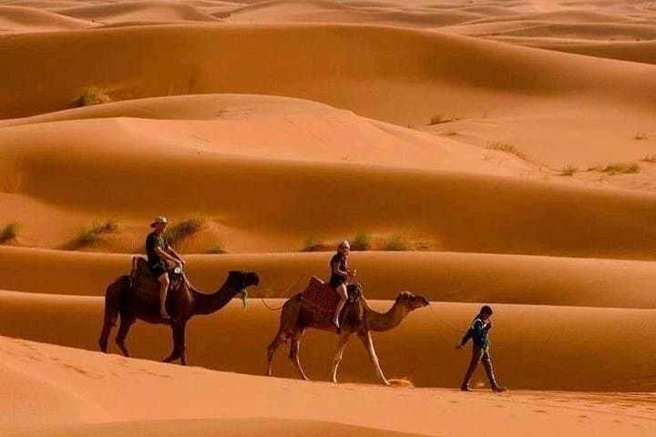 4-Day Sahara Desert Tour from Marrakech: Merzouga, Todra & Ait Ben Haddou photo 3