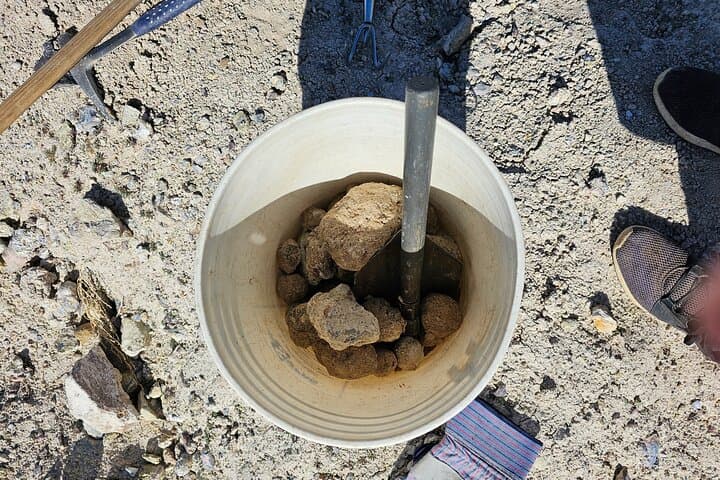 Guided Geode Hunting with a Geologist Near Salt Lake City photo 6