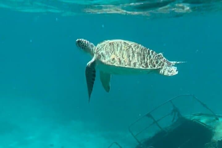 Half-Day Private Sail & Snorkel Charter from St. Thomas to St. John photo 3