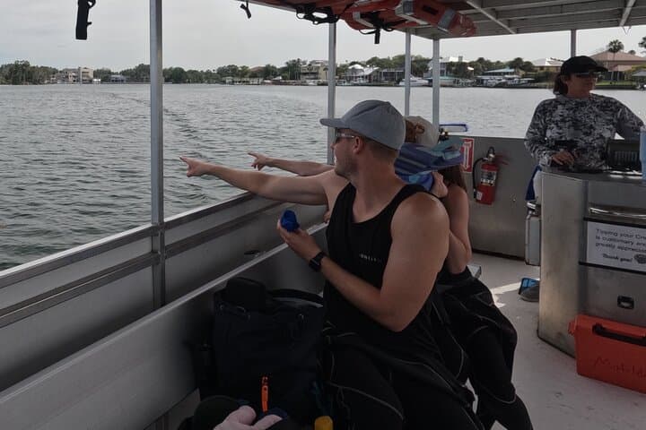 Exploring Crystal River’s Manatee Refuge: A Wildlife Viewing Boat Tour photo 2