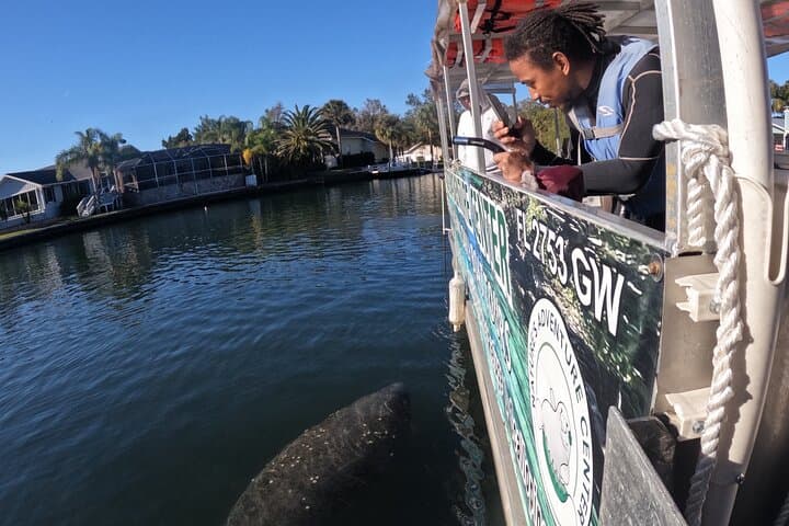 Exploring Crystal River’s Manatee Refuge: A Wildlife Viewing Boat Tour photo 6