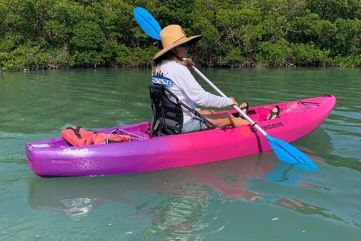 Beginner-Friendly 1-Hour Kayak & SUP Paddle Tour at Big Hickory Island (Naples)