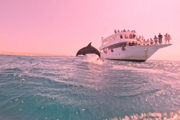 Hurghada VIP Dolphin Snorkeling: 8-Hour Boat Trip with Lunch photo 2