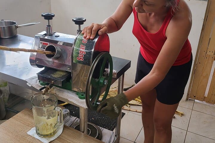 Coffee Farm Tour and Sugarcane Juicing in Costa Rica’s Southern Central Pacific