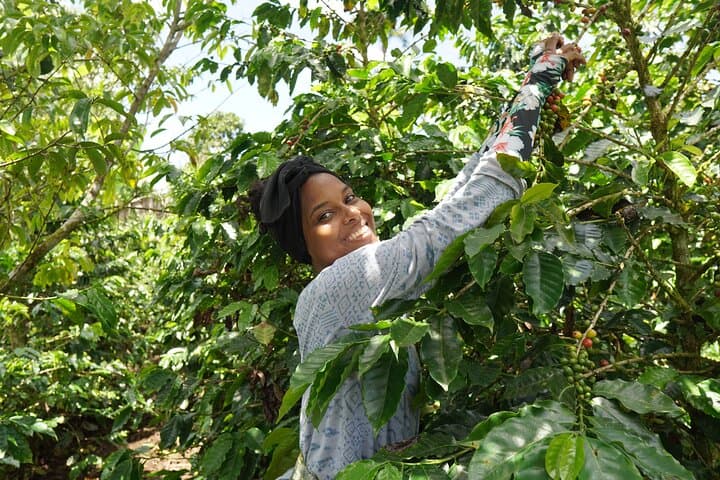 Coffee Farm Tour and Sugarcane Juicing in Costa Rica’s Southern Central Pacific photo 3