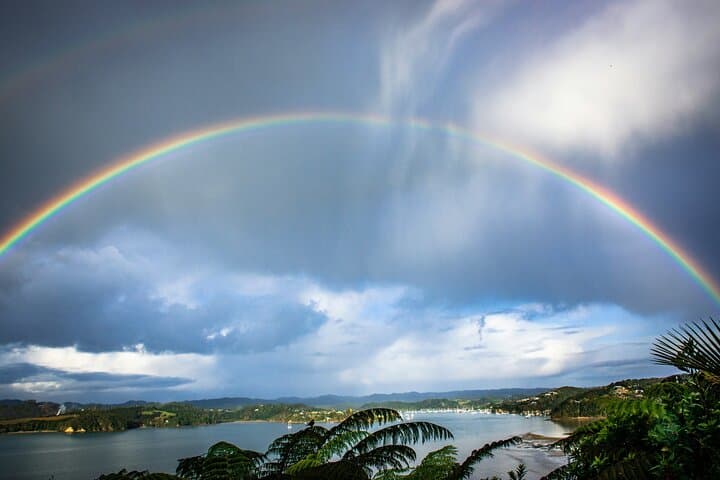 Hole in the Rock Cruise — Bay of Islands Full-Day Scenic Tour from Paihia photo 6
