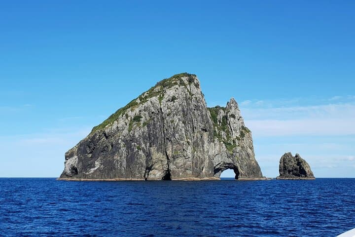 Hole in the Rock Cruise — Bay of Islands Full-Day Scenic Tour from Paihia photo 4