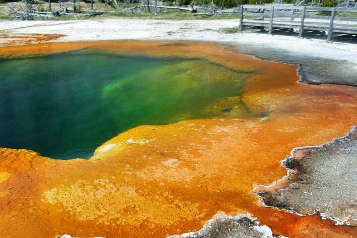 Yellowstone Lower Loop: Full-Day Tour to Old Faithful, Grand Prismatic & Lower Falls photo 3