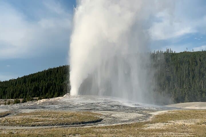 Yellowstone Lower Loop: Full-Day Tour to Old Faithful, Grand Prismatic & Lower Falls photo 4
